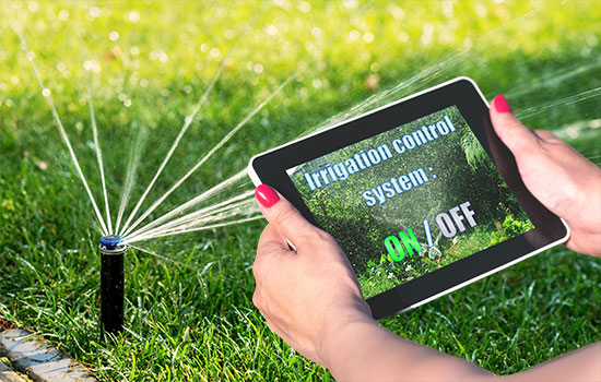 person using a tablet to manage irrigation