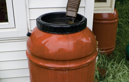 rain barrel image