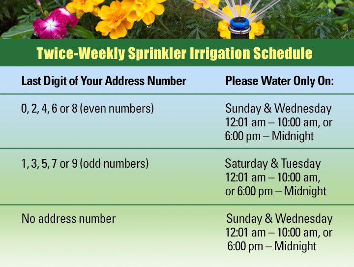 twice weekly sprinkler irrigation schedule