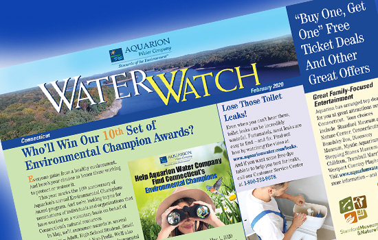 water watch front cover